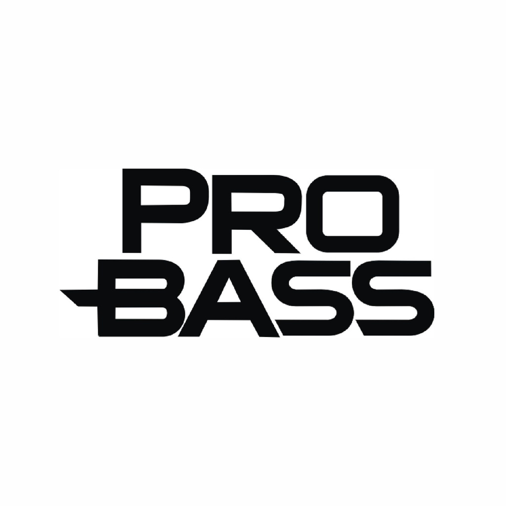 PARLANTE PROBASS SMASH 2000W