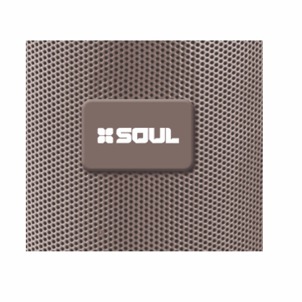 PARLANTE SOUL XS 150 GRIS