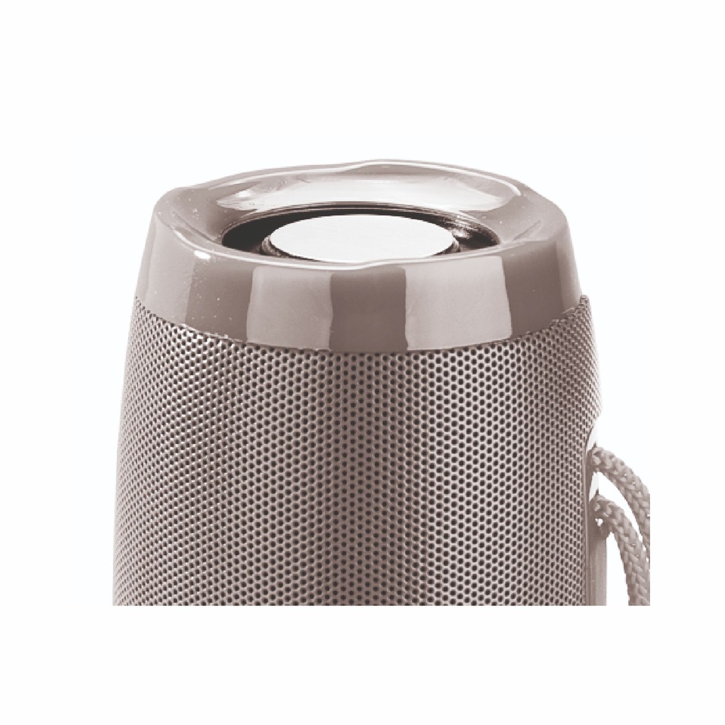 PARLANTE SOUL XS 150 GRIS