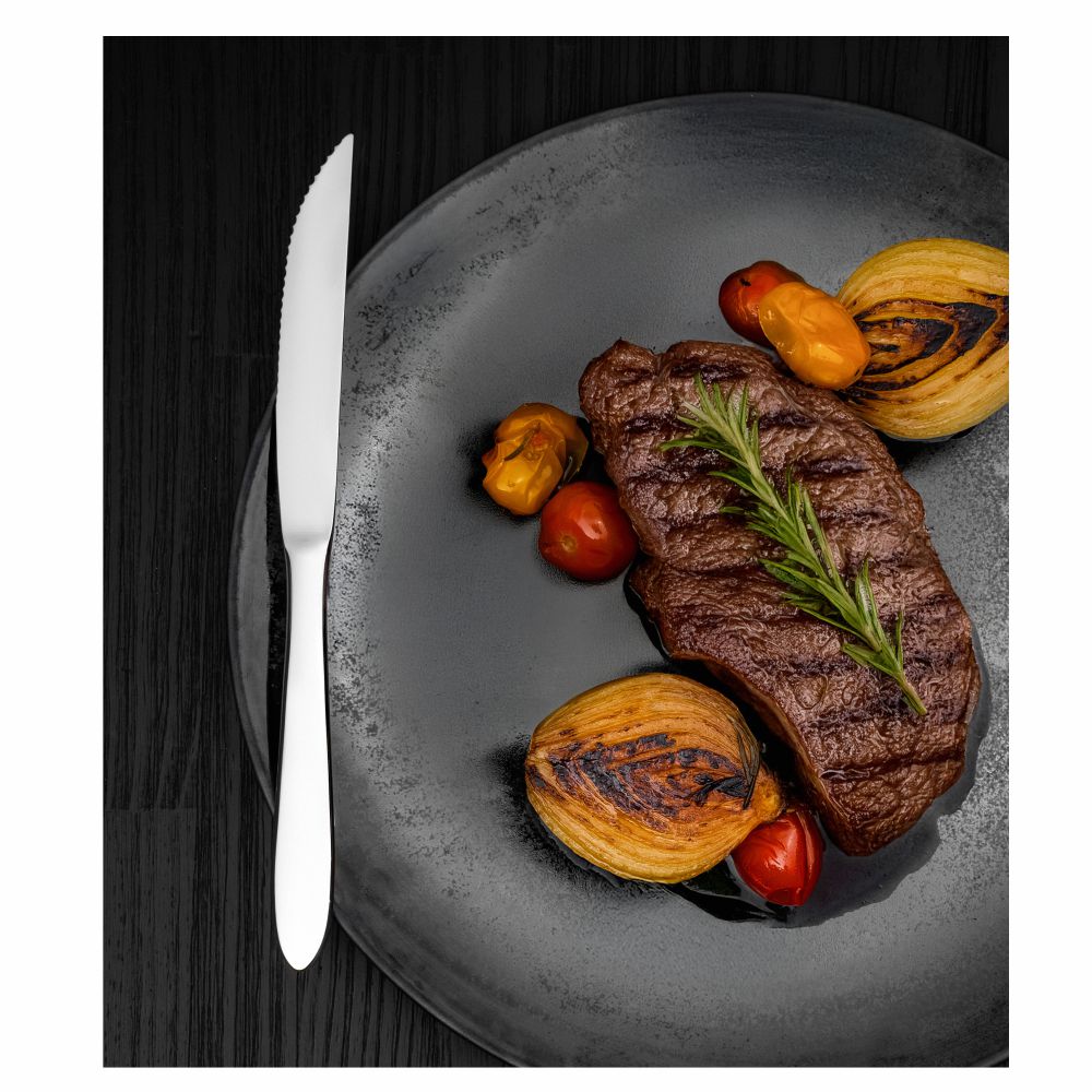 CUCHILLO DE MESA TRAMONTINA 63982/180 SATRI 12PZS