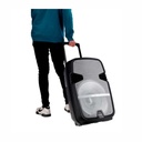 PARLANTE AIWA AW-P1510D-SN 7000W