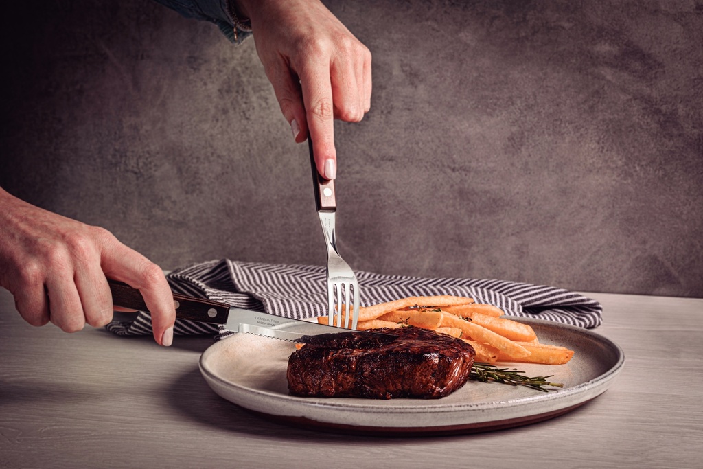 CUCHILLO PARA ASADO TRAMONTINA 21100/495 POLYWOOD