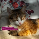 ASPIRADORA ATMA AS7922PI INALAMBRICA 2 EN 1