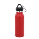 BOTELLA TERMICA ALPINE SKATE 18503 600ML ROJO