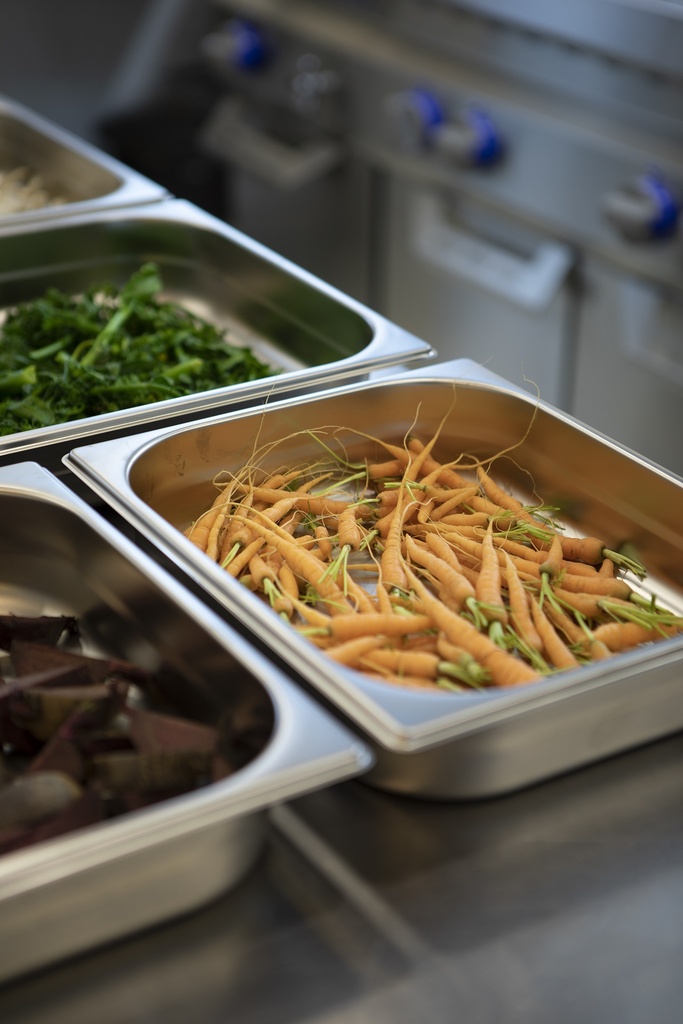 CUBA GASTRONOMICA TRAMONTINA 61050/100 2/1.100MM SIN ASA